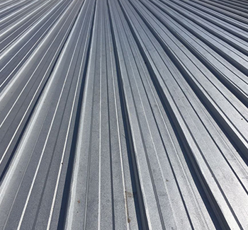 Jardinería y Áreas Verdes