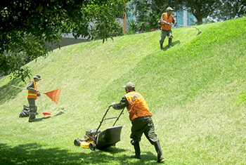Jardinería y Áreas Verdes